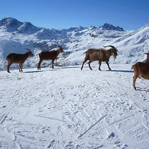 chambre-dhotes-kiki-coco.hotels-rhonealpes.com/